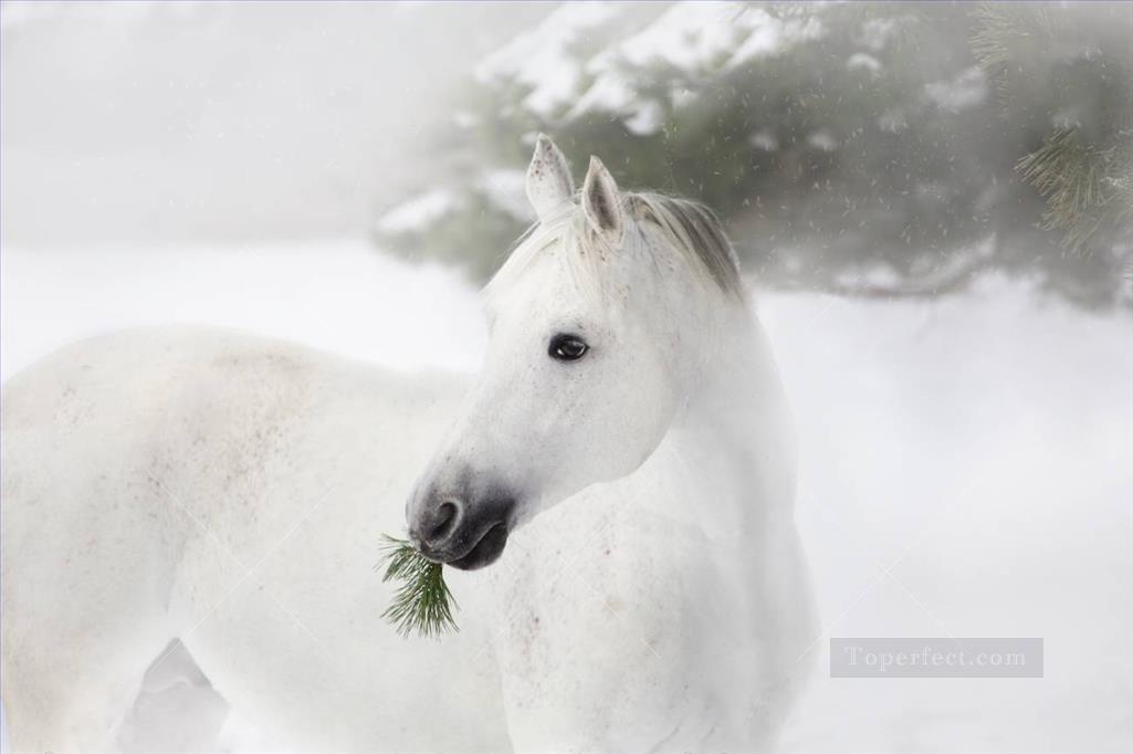 portrait of white horse on the pine trees and snow Oil Paintings